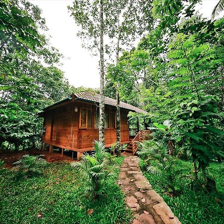 Bamboo Creek Resort Vaduvanchal Ngoại thất bức ảnh