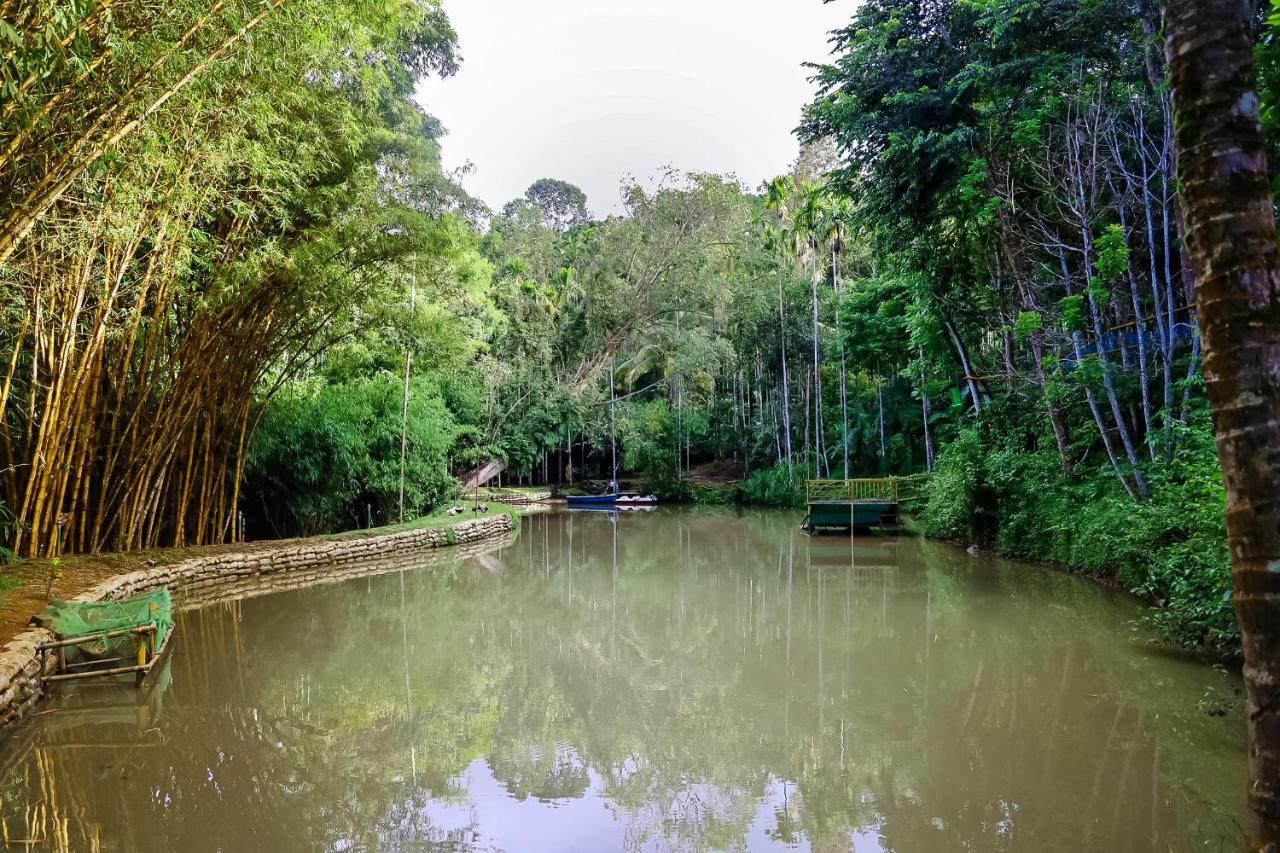 Bamboo Creek Resort Vaduvanchal Ngoại thất bức ảnh