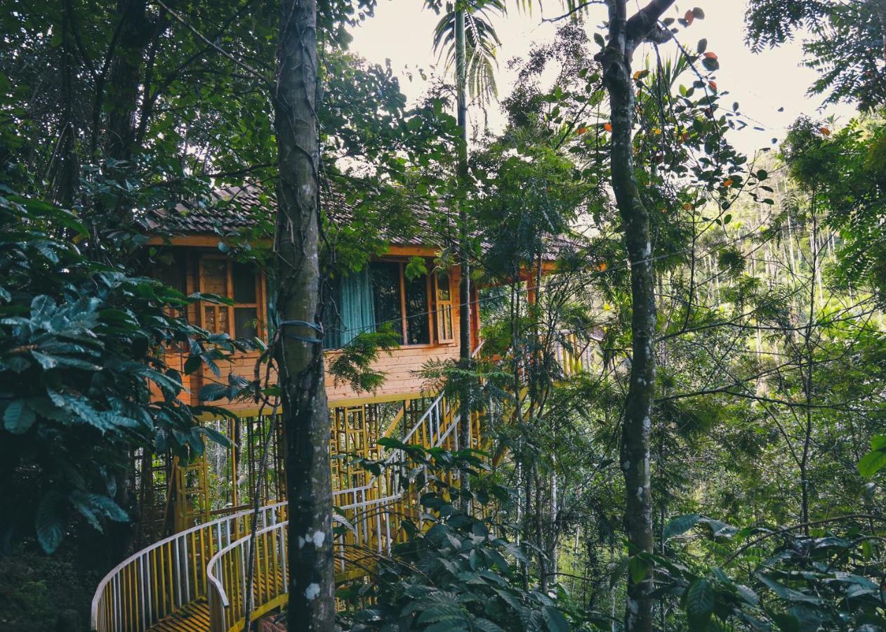 Bamboo Creek Resort Vaduvanchal Ngoại thất bức ảnh