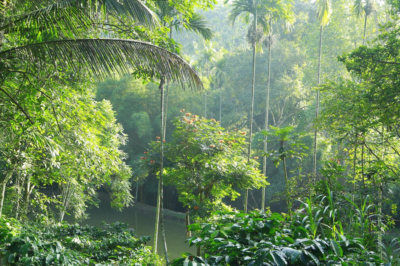 Bamboo Creek Resort Vaduvanchal Ngoại thất bức ảnh