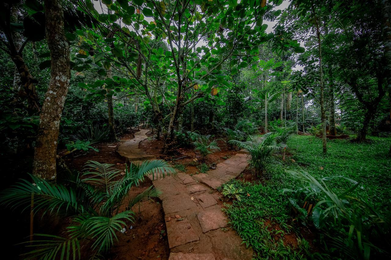 Bamboo Creek Resort Vaduvanchal Ngoại thất bức ảnh