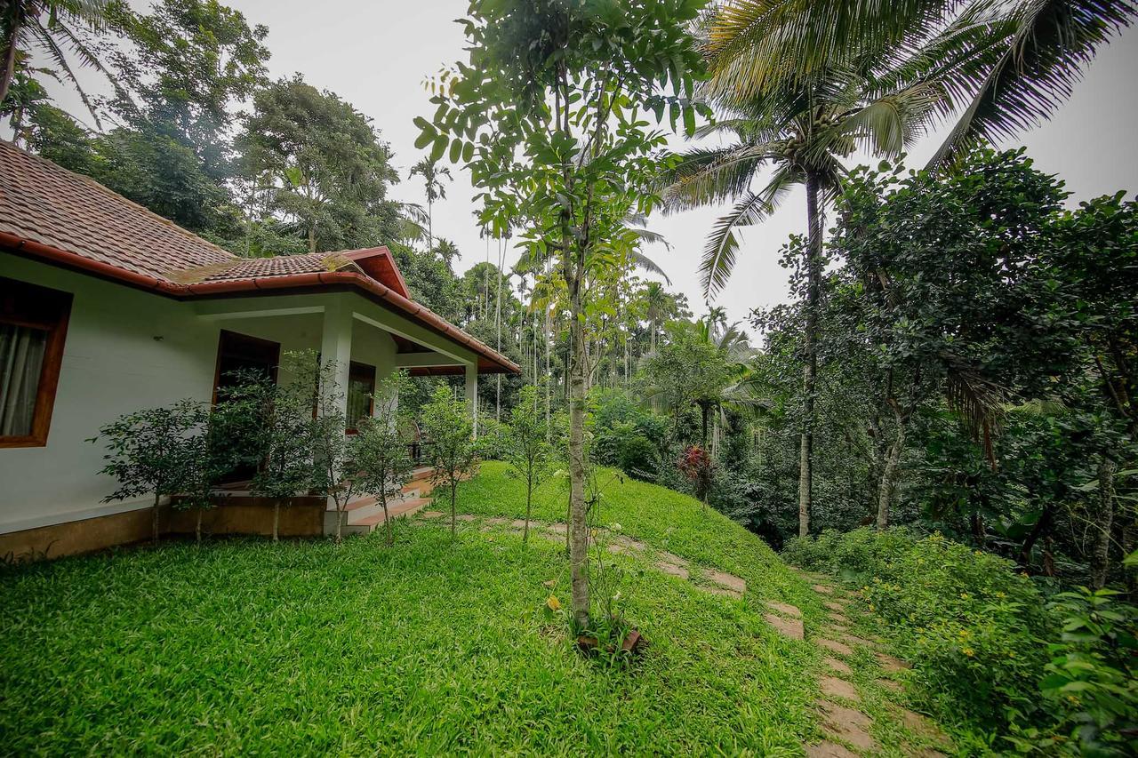 Bamboo Creek Resort Vaduvanchal Ngoại thất bức ảnh