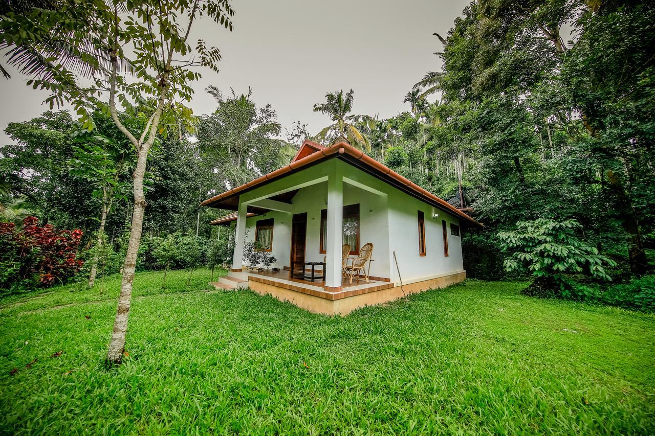 Bamboo Creek Resort Vaduvanchal Ngoại thất bức ảnh