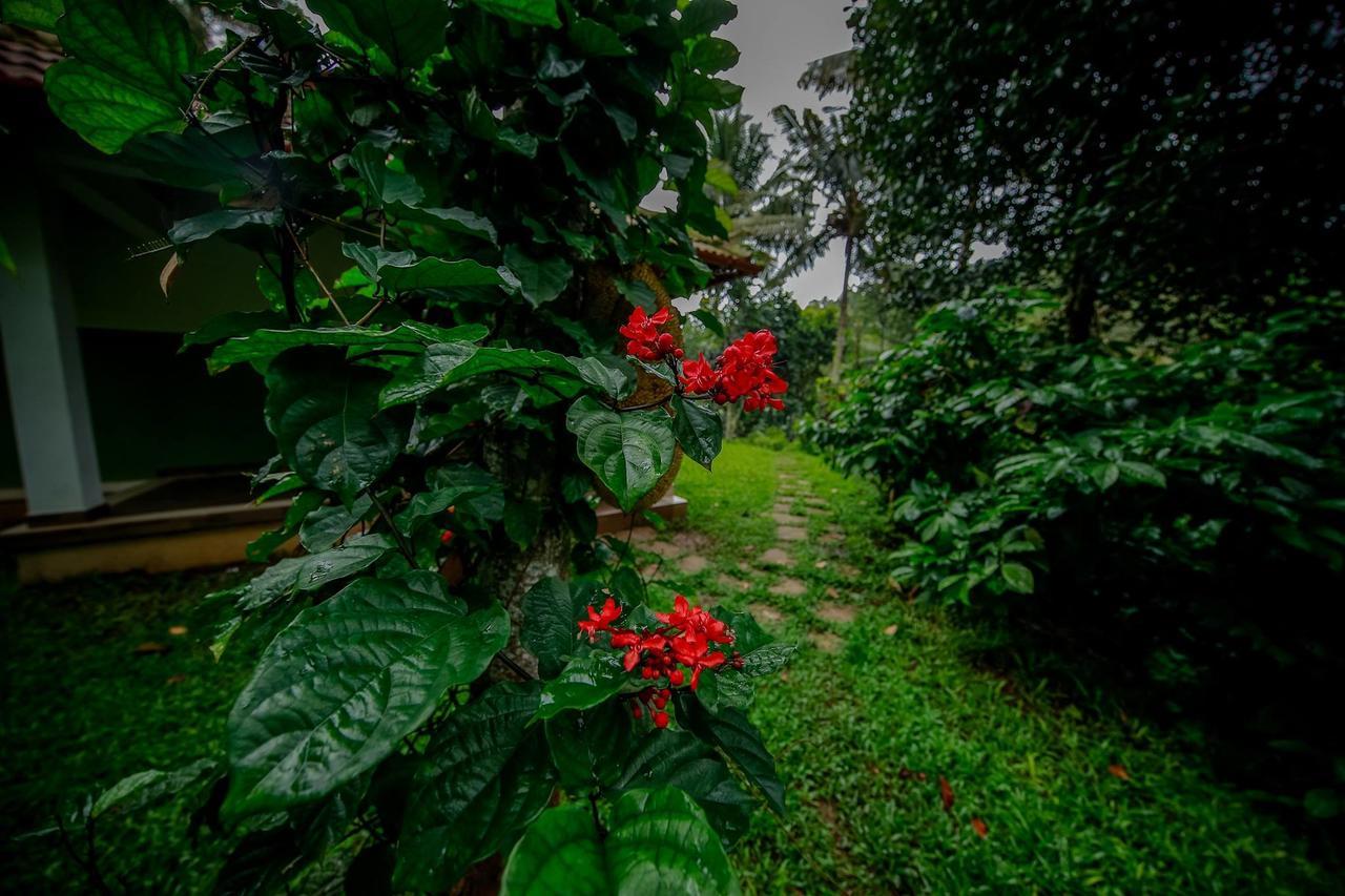 Bamboo Creek Resort Vaduvanchal Ngoại thất bức ảnh