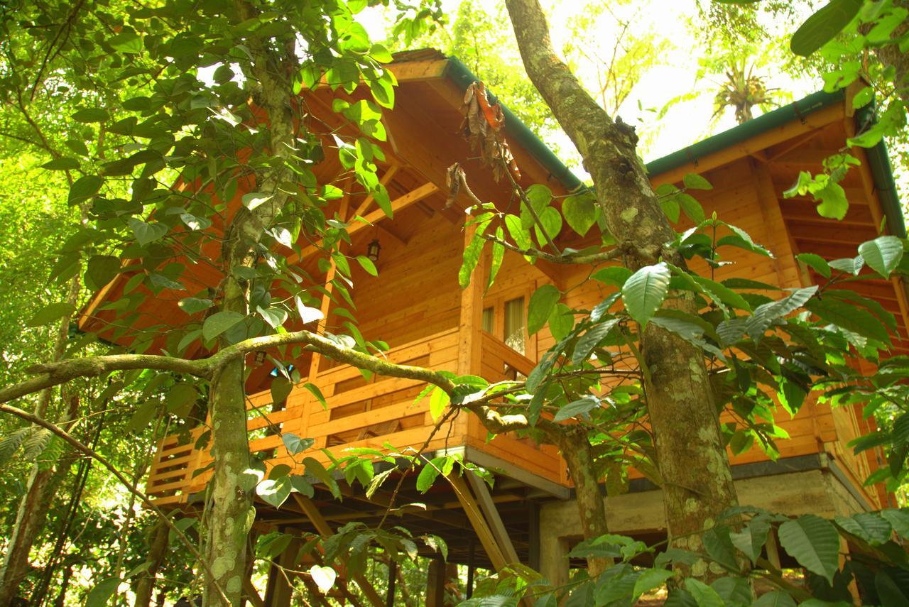 Bamboo Creek Resort Vaduvanchal Ngoại thất bức ảnh