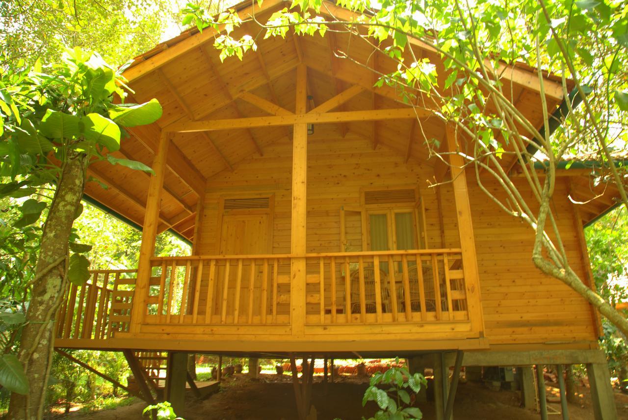 Bamboo Creek Resort Vaduvanchal Ngoại thất bức ảnh