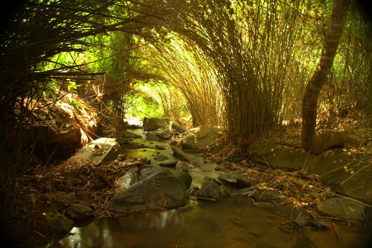 Bamboo Creek Resort Vaduvanchal Ngoại thất bức ảnh