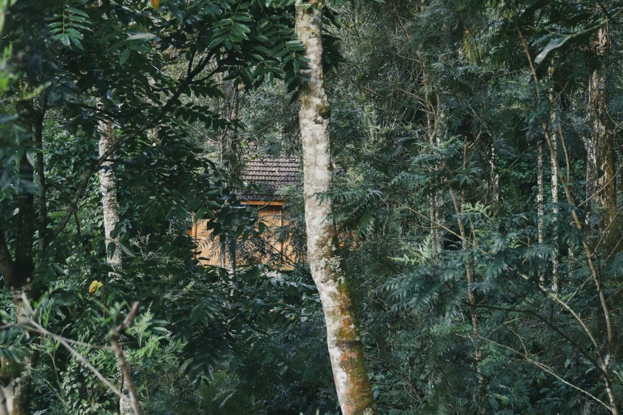 Bamboo Creek Resort Vaduvanchal Ngoại thất bức ảnh