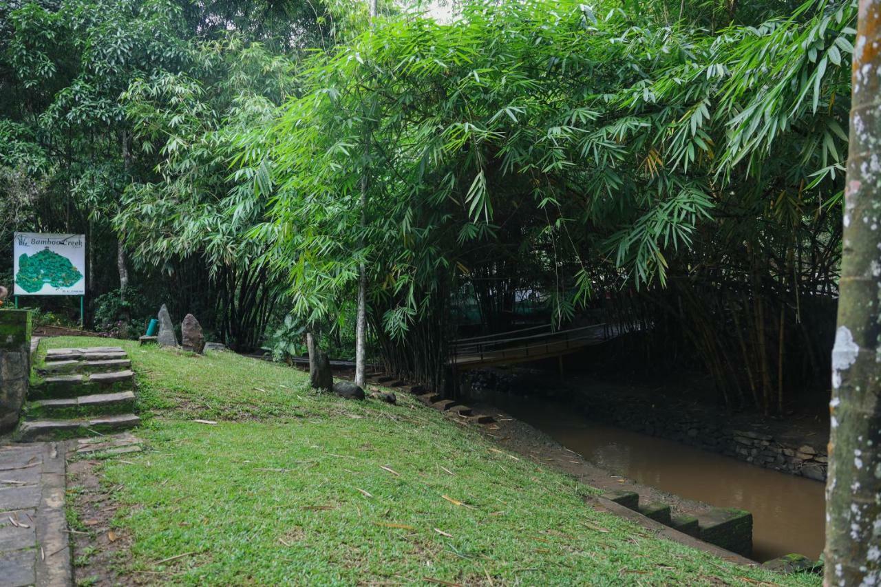Bamboo Creek Resort Vaduvanchal Ngoại thất bức ảnh