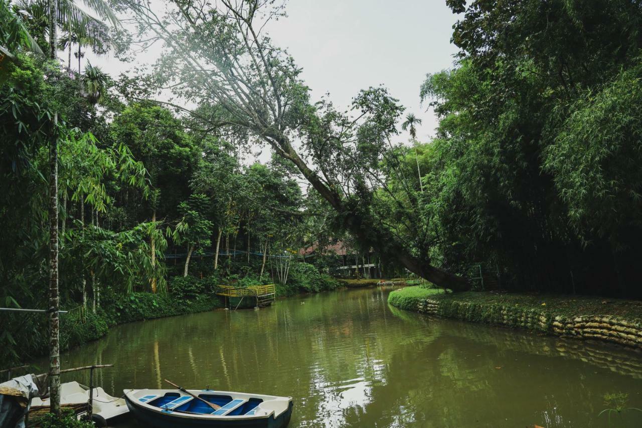 Bamboo Creek Resort Vaduvanchal Ngoại thất bức ảnh